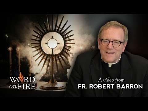 Comments on Eucharistic Adoration